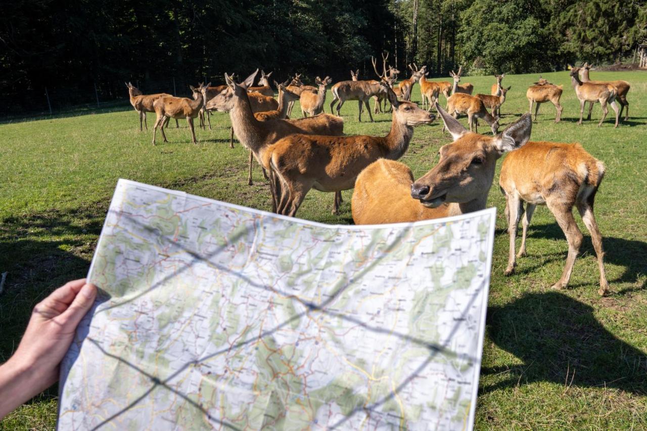 Berggasthof Hoechsten Illmensee Kültér fotó